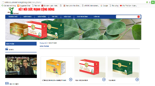 Sản phẩm của Công ty Cổ phần Big Forest Việt Nam được quảng cáo trên Website. Ảnh (Chụp ngày 16/3)