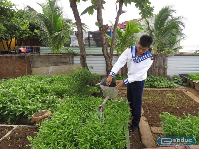 Một chiến sĩ trẻ tại đảo Trường Sa Đông đang chăm sóc vườn rau xanh. Ảnh Duy Phong