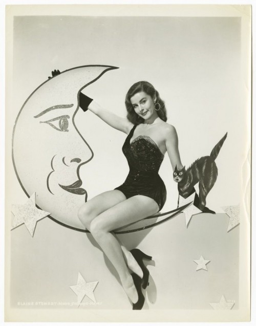 Elaine Stewart ( 1930 - 2011) nữ diễn viên và người mẫu người Mỹ một thời, xuất hiện trên các tạp chí Playboy và Photoplay, đóng một số phim có tiếng như Brigadoon (1954, được đề cử 3 giải Oscar),The Adventures of Hajji Baba (1954) và Night Passage (1957).