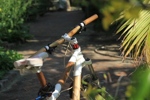Xe đạp tre duyên dáng trong nắng mai...