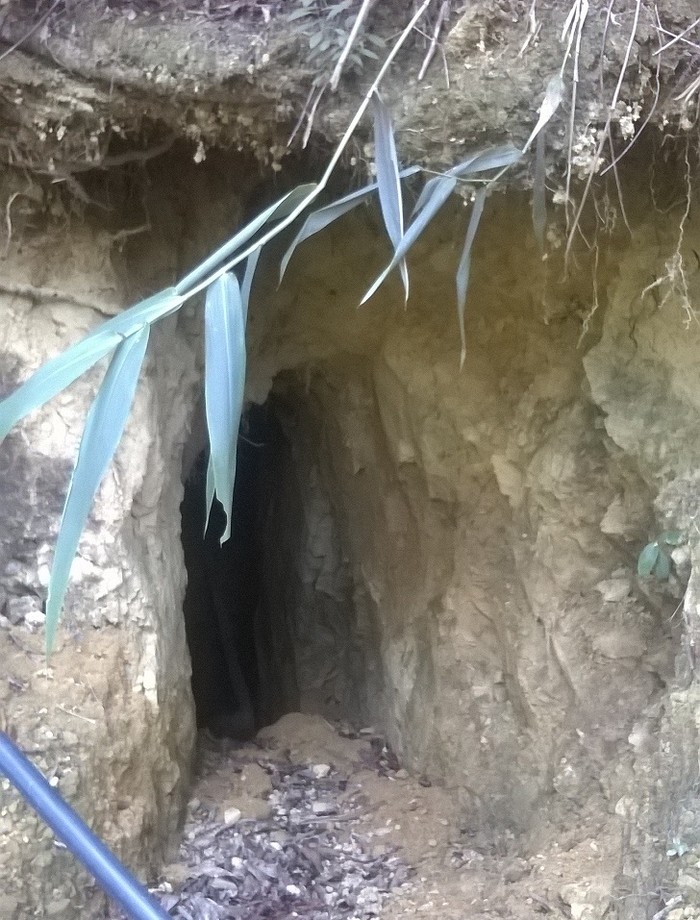 Một hầm vàng sâu hun hút của Cty Trường Sơn để lại ở Khe Đương. Nếu người dân vào khai thác trái phép đối mặt với nguy cơ sạt lở, sập hầm, rất nguy hiểm đến tính mạng.