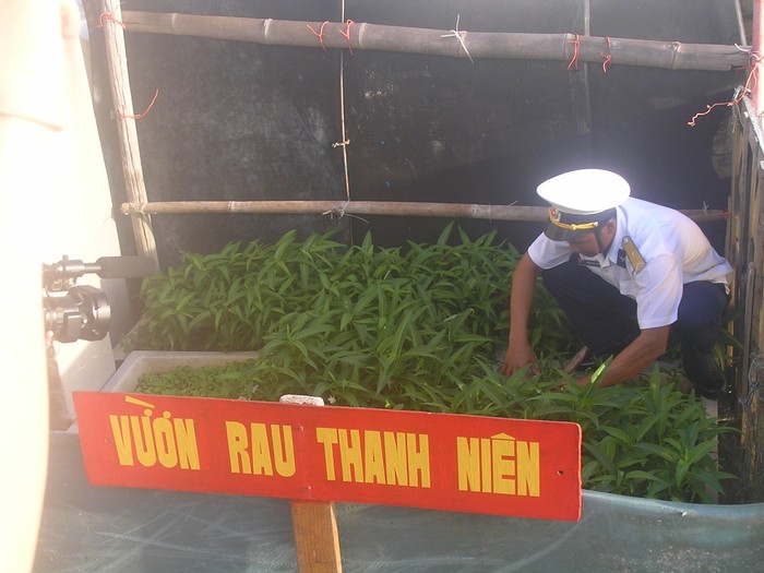 Giữa trùng khơi, các chiến sỹ trên đảo Đá Lớn vẫn trồng được rau xanh để cải thiện cuộc sống.