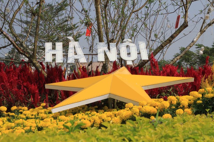 Theo thông tin từ Tổ chức kỷ lục Việt Nam, “Bản đồ Việt Nam bằng hoa lớn nhất” là 1 trong 6 kỷ lục được thực hiện trên toàn quốc nhằm chào đón năm mới Ất Mùi 2015.