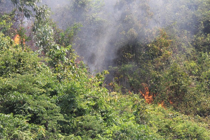 Những ngày này, thời tiết nắng nóng nên rất dễ xảy ra cháy rừng nếu người dân bất cẩn. Nhiều tỉnh, thành đã phát đi thông báo khẩn về nguy cơ cháy rừng tại địa phương mình lên cấp rất nguy hiểm. Ảnh Thùy Linh