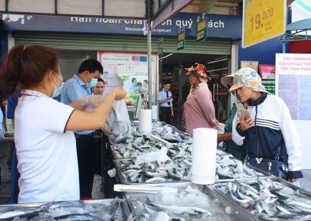 Siêu thị Coopmart Huế là một trong những điểm bán cá biển sạch đầu tiên được cơ quan chức năng tỉnh Thừa Thiên Huế chứng nhận. Ảnh: B.S