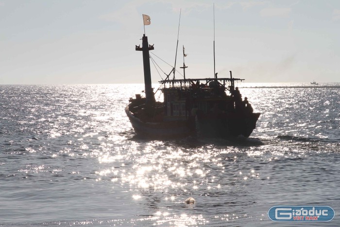 Ngư dân đảo Lý Sơn (Quảng Ngãi) vươn khơi đánh bắt thủy sản. Ảnh: Hoàng Tuấn