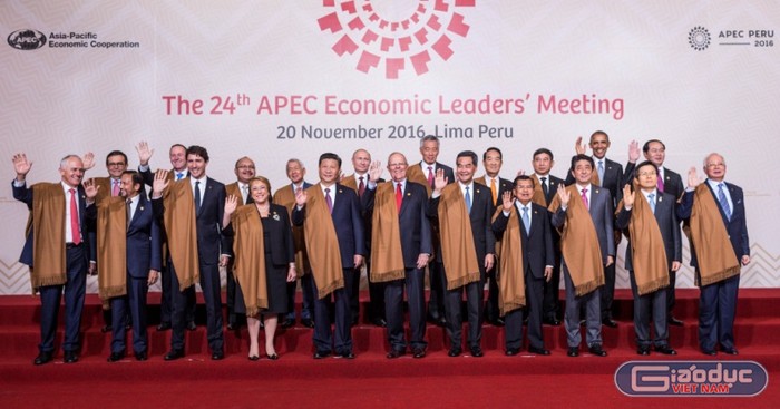 Hội nghị Cấp cao Diễn đàn Hợp tác kinh tế châu Á - Thái Bình Dương (APEC) lần thứ 24 tại thủ đô Lima, Peru. Ảnh BTC