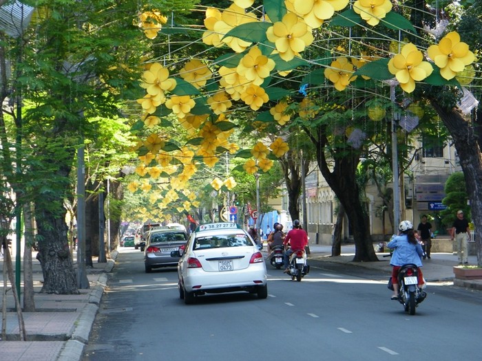 Con đường Đồng Khởi (Q1) được trang hoàng hoa mai vàng rực rỡ…