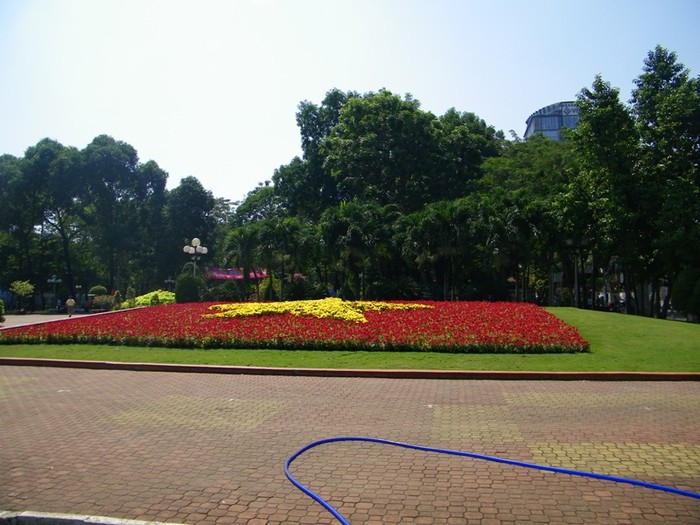Sắc đỏ tươi vui tại công viên 23 tháng 9.