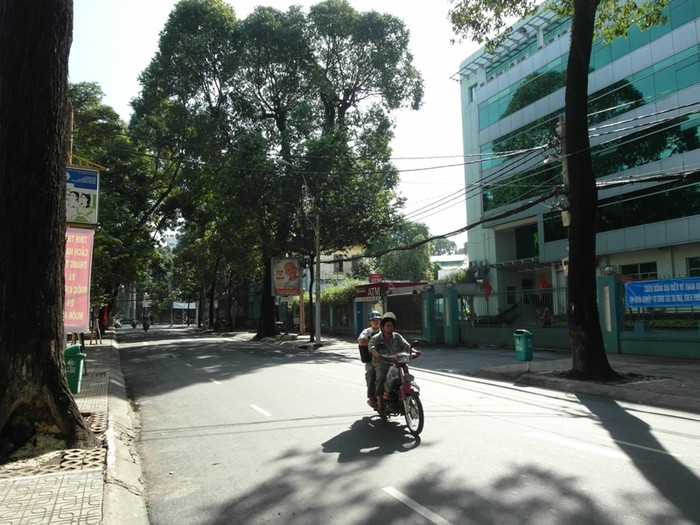 Con đường Võ Văn Tần (Quận 3) quang đãng, rợp bóng cây.