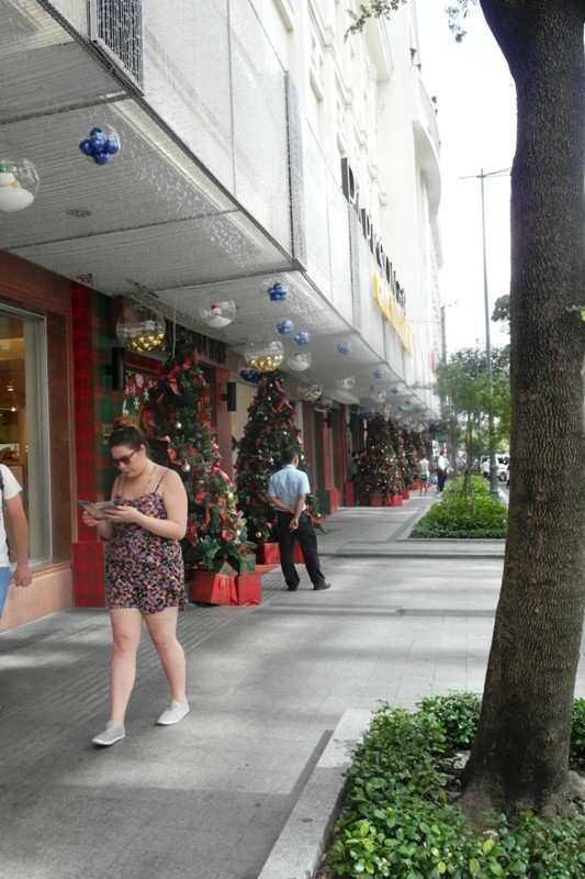 Cây thông Noel với sắc màu xanh, đỏ trên vỉa hè đường Lê Thánh Tôn, trước trung tâm mua sắm Parkson.