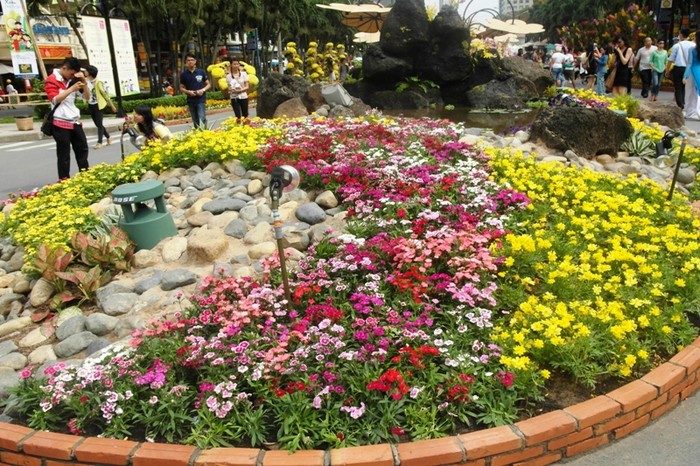 Nhiều người dân Sài Gòn sau khi dạo vườn hoa, cho rằng ý tưởng thiết kế đường hoa không có gì mới so với mọi năm.