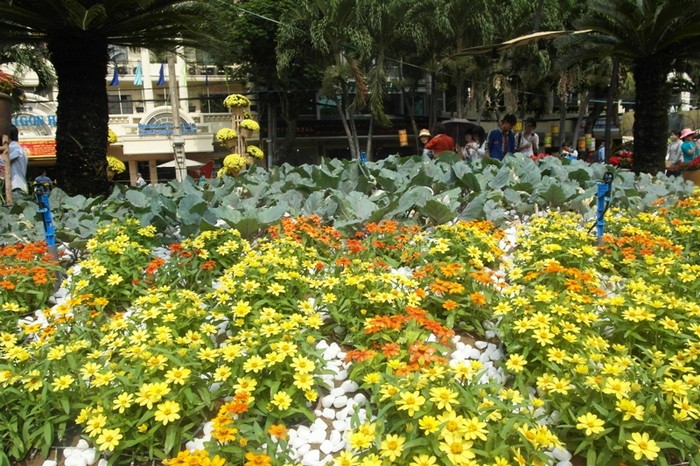 Con đường nhộn nhịp nằm giữa trung tâm thành phố đã trở thành vườn hoa đủ sắc màu.