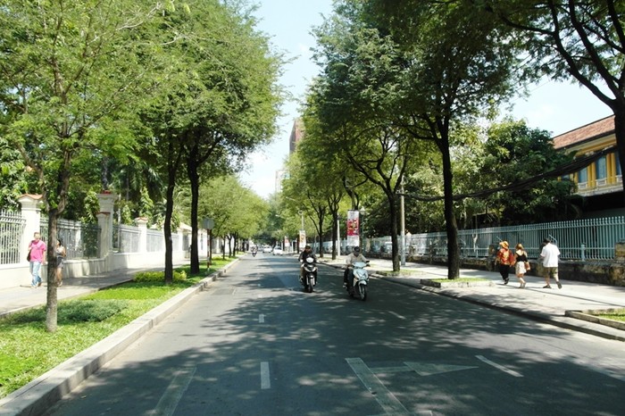 Đường Nguyễn Du rợp bóng mát cây xanh, khung cảnh thật, thoáng đãng.