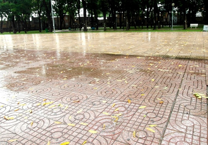 Lá vàng rơi đầy khoảng sân công viên Gia Định (Gò Vấp).
