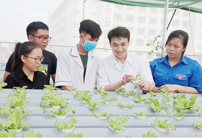 Giờ thực hành của sinh viên ngành Khoa học cây trồng (Trường Đại học Kiên Giang) tại nhà lưới. Ảnh: website nhà trường
