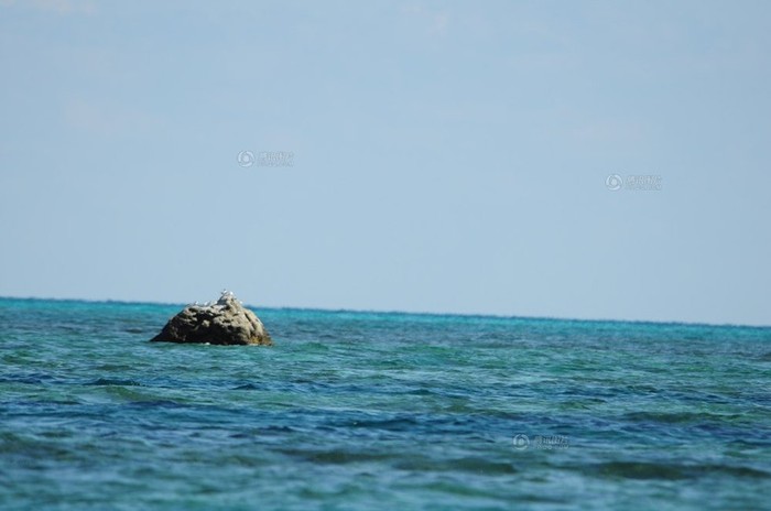 Những con chim biển đậu trên mỏm đá nhô lên mặt nước trong đầm phá bãi Scarborough, cảnh tượng thanh bình nhưng không bình yên