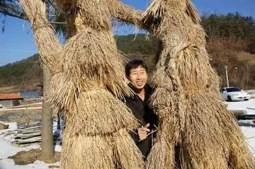 Một người nông dân Hàn Quốc bên cây rơm