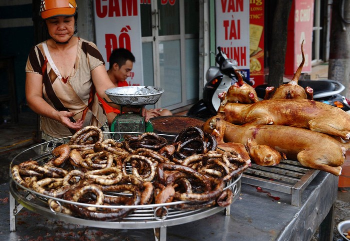 Khắp các con phố ở Hà Nội, đâu đâu cũng có thể tìm được quán thịt chó
