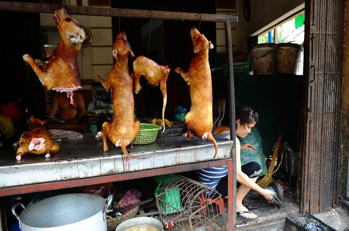Thịt chó đã trở thành một nét văn hóa ẩm thực của người Việt