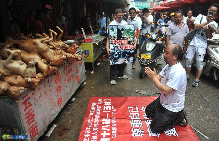 Người Trung Quốc tiêu thụ thịt chó với số lượng rất lớn. Một nhóm hoạt động vì môi trường đã tế sống những con chó vừa thui ngoài chợ để kêu gọi dân Trung Quốc bỏ thói quen ăn thịt chó