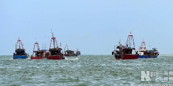 Một tốp trong số 8994 tàu cá Hải Nam, Trung Quốc ồ ạt đổ ra biển Đông sau trưa 1/8