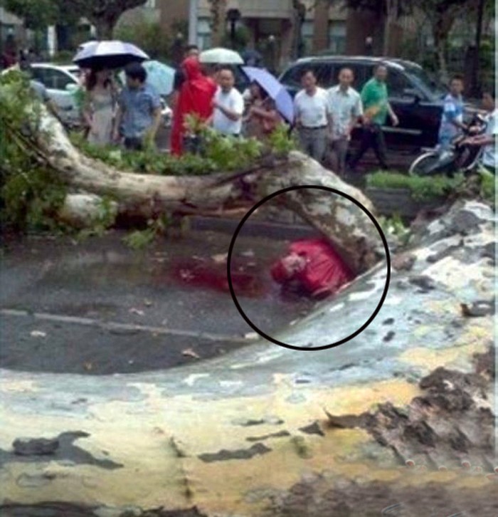 Một người đàn ông bị cây đổ đè chết khi đang cố gắng trở về nhà trong cơn bão đổ bộ vào thành phố Nam Kinh