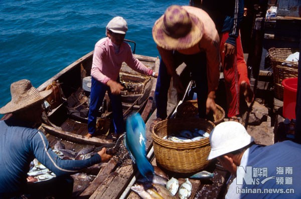 Ngư dân Trung Quốc đánh bắt phi pháp trên Biển Đông gần quần đảo Hoàng Sa