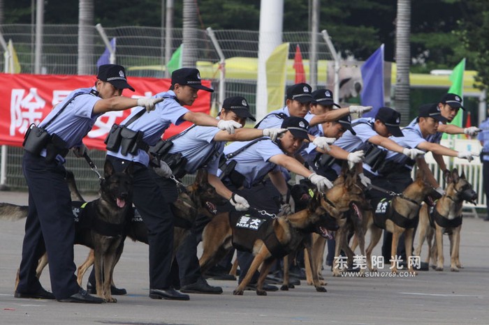 Lực lượng chó nghiệp vụ, còn gọi là "cảnh khuyển" tham gia diễn tập chống khủng bố, dẹp bạo loạn