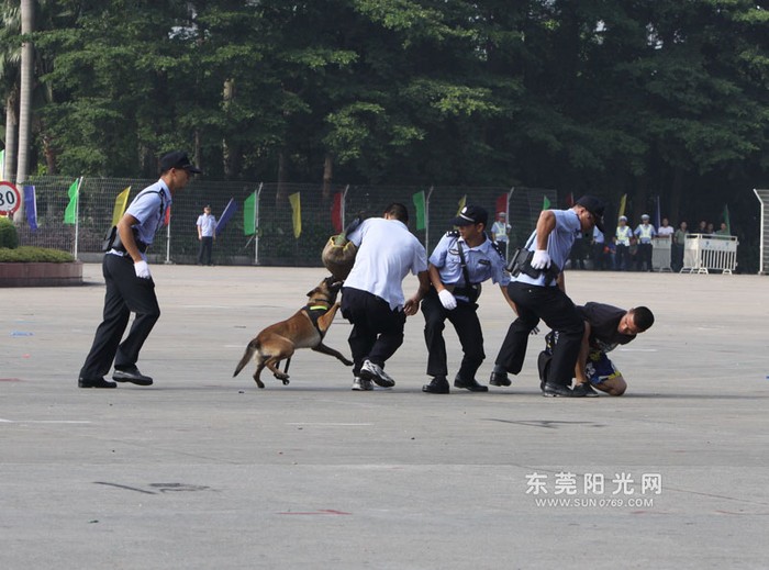 Khi cảnh sát Trung Quốc "suỵt chó"