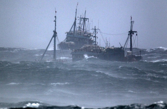 Trước khi cơn bão Bolaven ập đến, gió to, sóng lớn liên tục đe dọa 2 con tàu này