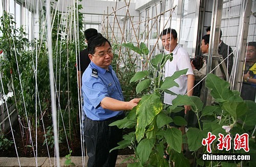 Quân Trung Quốc trồng rau trên nhà nổi Đá Vành Khăn