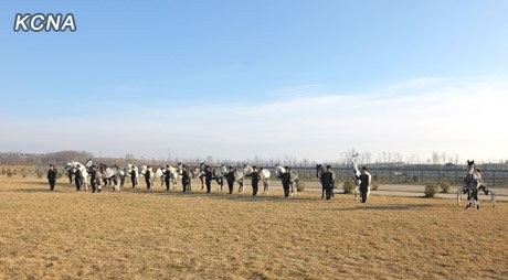 Thao trường đại đội huấn luyện ngựa đơn vị 534