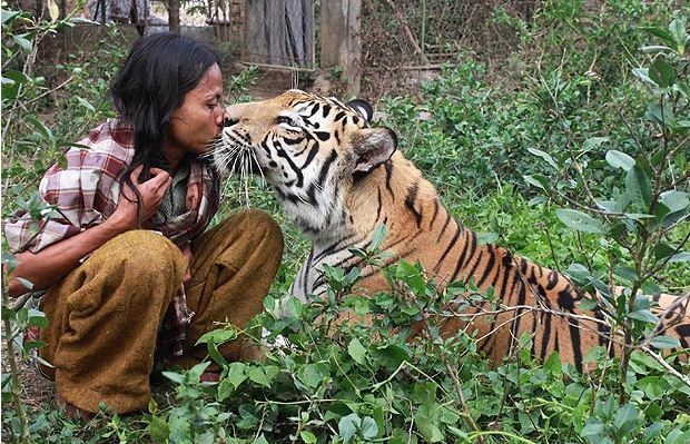 Anh cho biết mình cảm thấy thực sự hạnh phúc khi được sống chung với chú hổ này, anh đang cố gắng để tìm hiểu về thế giới của loài hổ và ngôn ngữ của chúng.