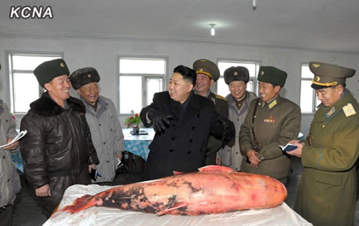 Trước tết Nguyên đán 2012, ông Kim Jong-un thăm sư đoàn không quân 354 và tặng các phi công ở đây con cá diêu hồng nặng 60 kg. Ông nói, với phi công thì không có gì phải tiếc!