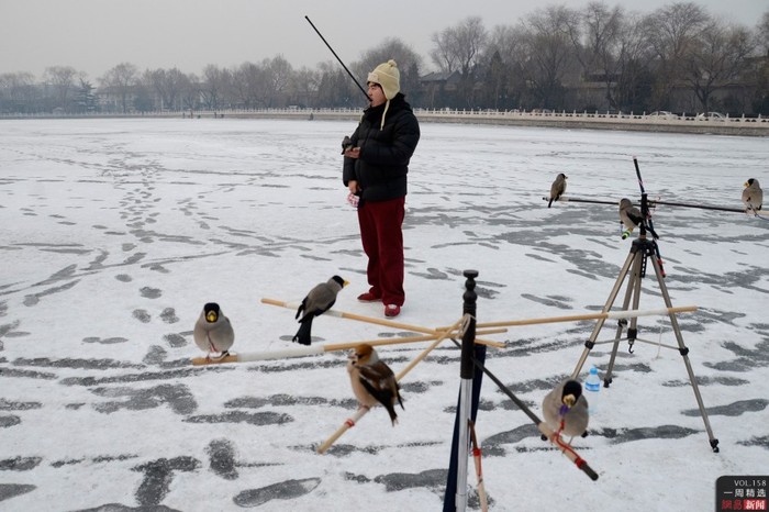 Sáng 19/12 tại Bắc Kinh, một người đàn ông đang bẫy chim trên sân băng
