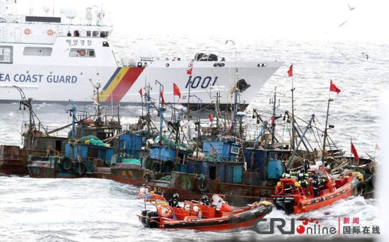 Tàu cá Trung Quốc kéo thành đoàn xâm nhập và đánh bắt cá trộm trên vùng biển Hàn Quốc để dễ đối phó với lực lượng chức năng sở tại