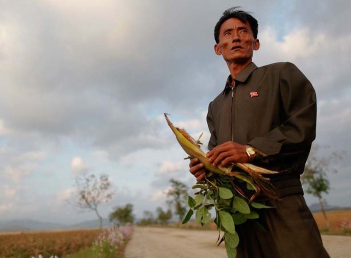 Một người nông dân Bắc Triều Tiên lo lắng khi mùa màng thất bát (hình minh họa)