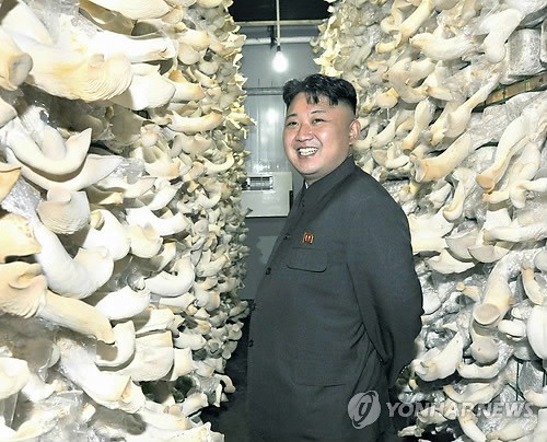 Nhà lãnh đạo Kim Jong-un chụp ảnh bên những giỏ nấm