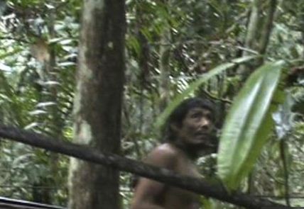 "Người rừng" Amazon