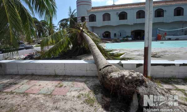 Bão số 10 quật đổ cây cối xung quanh trụ sở Trung Quốc xây dựng bất hợp pháp trên đảo Phú Lâm, Hoàng Sa thuộc chủ quyền Việt Nam.