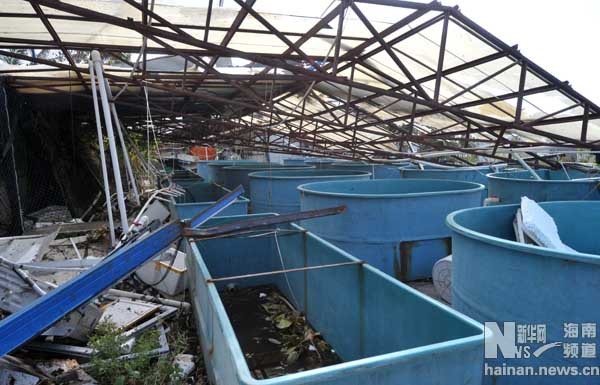 Cơ sở nghiên cứu biển Trung Quốc xây dựng bất hợp pháp trên đảo Phú Lâm, Hoàng Sa bị bão số 10 quật tung mái.