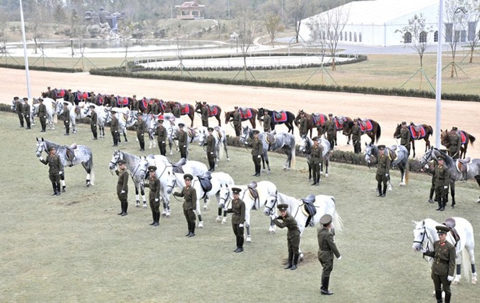 Những con tuấn mã nhà lãnh đạo Kim Jong-un tặng trường đua ngựa.