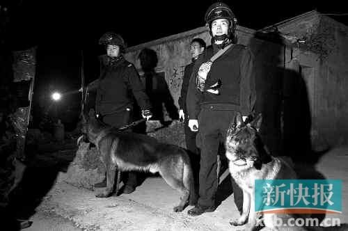 Cảnh sát và chó nghiệp vụ tham gia tập kích làng ma túy Bác Đỗ.