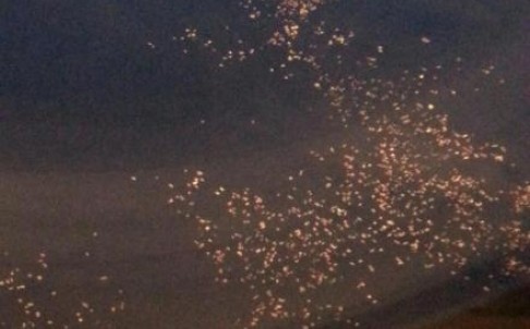 Bức ảnh chụp các mảnh vỡ trên mặt biển gần khu vực máy bay Malaysia mất tích đang được chia sẻ trên mạng xã hội Trung Quốc.
