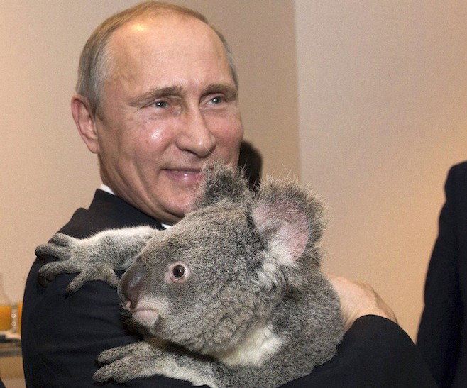 Tổng thống Vladimir Putin bên lề hội nghị thượng đỉnh G20 tại Úc vừa qua.