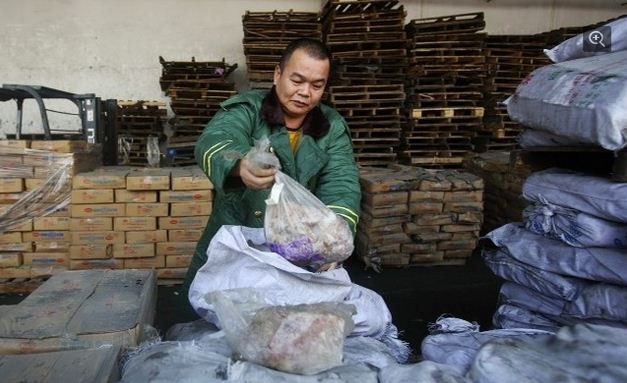 Nhân viên hải quan Trung Quốc kiểm tra kho hàng &quot;thịt xác chết&quot;.