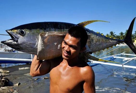 Biển Đông là nguồn sinh kế, nguồn thức ăn của ngư dân Philippines lại đang bị Trung Quốc đe dọa, hình minh họa.
