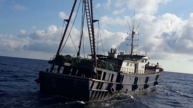 Tàu cá Trung Quốc ngày càng hung hãn, vơ vét bất chấp tất cả trên Biển Đông là vì có chính phủ nước này chống lưng. Ảnh: Sydney Morning Herald.