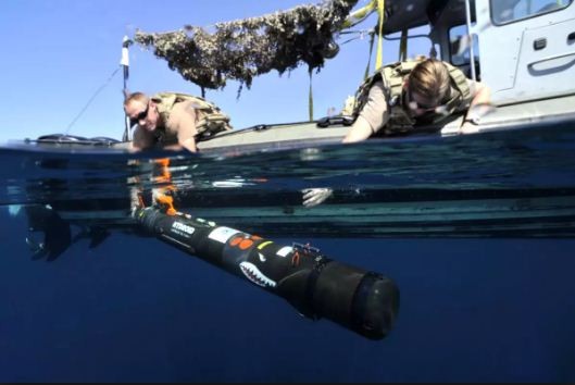 Một tàu lặn không người lái của Hải quân Mỹ từng bị Trung Quốc bắt giữ trong vùng biển quốc tế trên Biển Đông năm 2017, ảnh minh họa: thedrive.com.